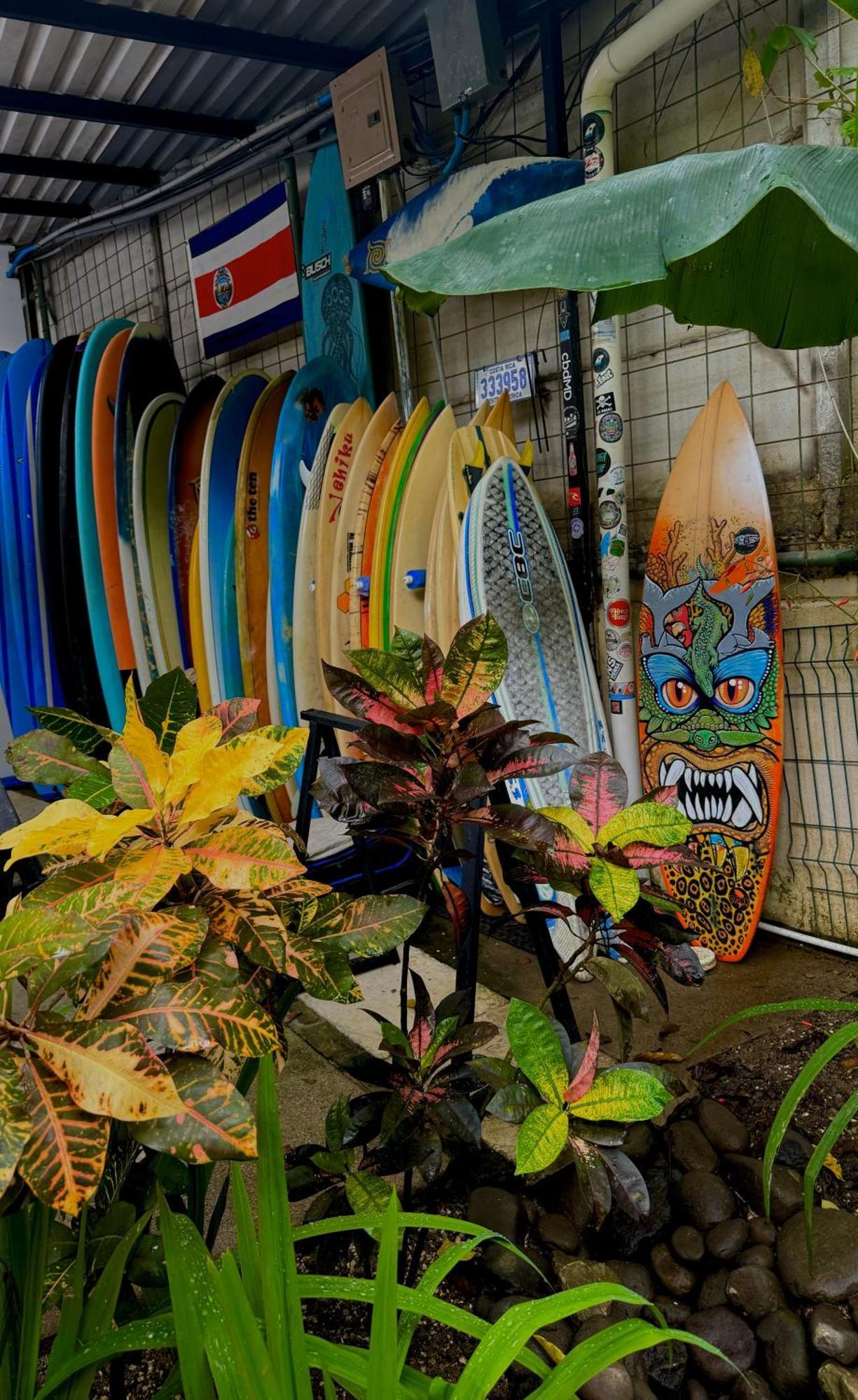 El Chante Surf House Playa Santa Teresa  Exterior photo